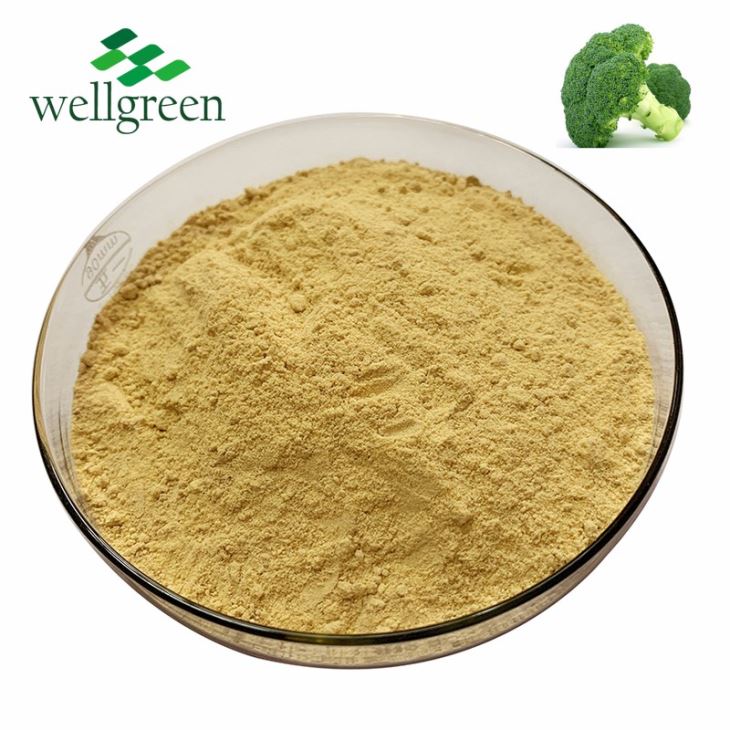 Wellgreen Anti-aging Natural Broccoli Extract Glucoraphanin 0.1%-20% CAS. 21414-41-5
