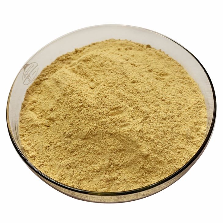 Wellgreen Anti-aging Natural Broccoli Extract Glucoraphanin 0.1%-20% CAS. 21414-41-5