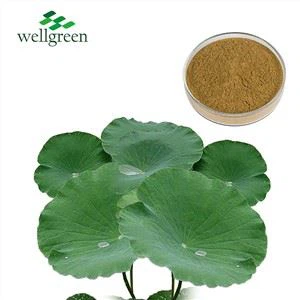 Lootose lehtede ekstrakt