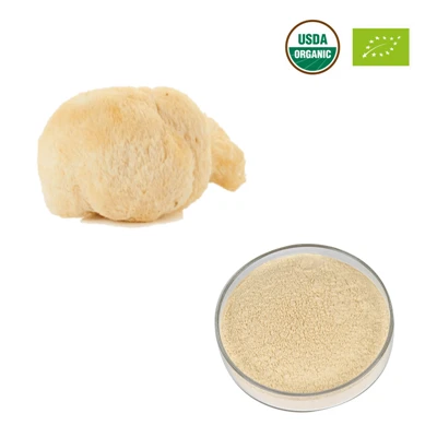 Orgaaniline Lion's Mane seenepulber
