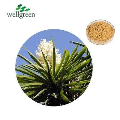 50% Yucca saponiinid lõhnade kontrollimiseks