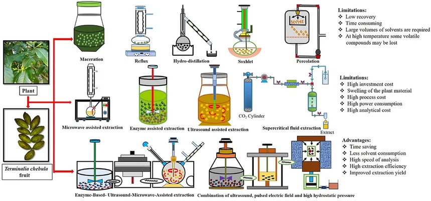 Plant Extract Process Plant Extract Process