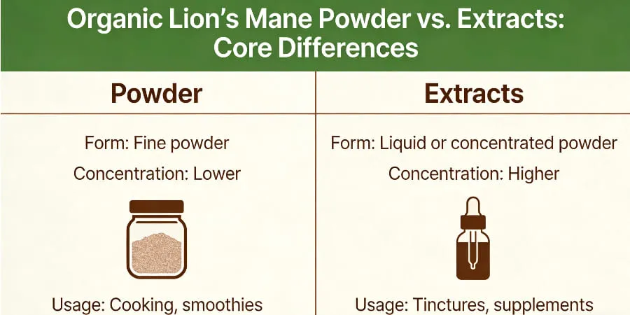 Organic Lions Mane Powder vs Extracts-Core Differences Organic Lions Mane Powder vs Extracts-Core Differences